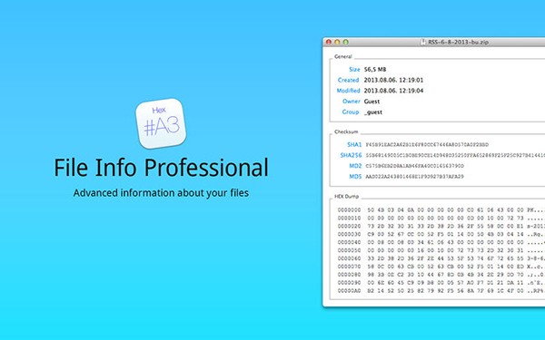 File Info Professional Mac